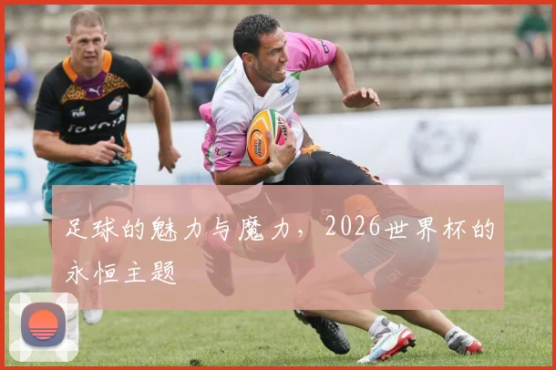 足球的魅力与魔力,2026世界杯的永恒主题